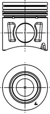 WILMINK GROUP Поршень WG1016548